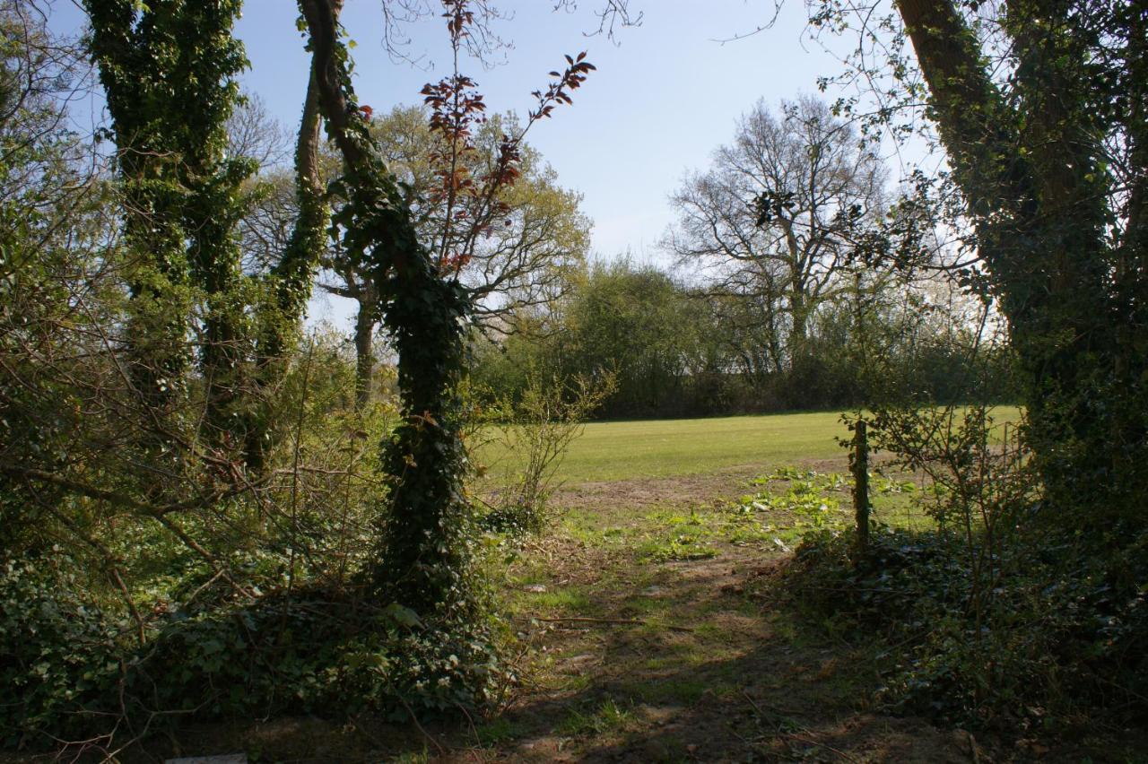 Spacious 4 Bed Family Cottage In Parkland Setting York Luaran gambar